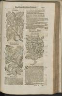 Seite 1465
