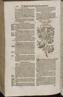 Seite 1466