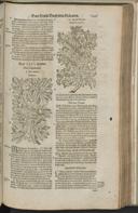 Seite 1469