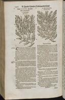 Seite 1472