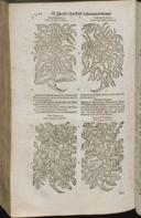 Seite 1474