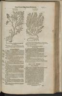 Seite 1475