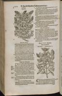 Seite 1476