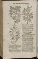 Seite 1478