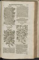 Seite 1479