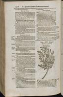 Seite 1480