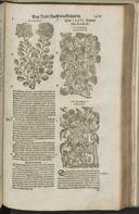 Seite 1481