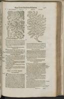 Seite 1483