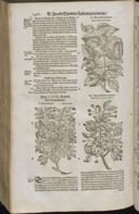 Seite 1484