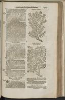 Seite 1485