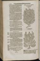 Seite 1486