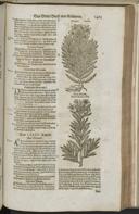 Seite 1487
