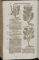 Seite 1488