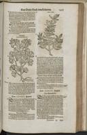 Seite 1489