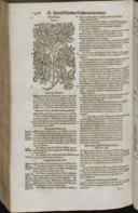 Seite 1490