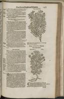 Seite 1491