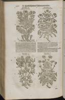 Seite 1492
