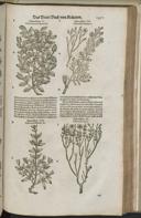Seite 1493