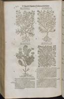 Seite 1494