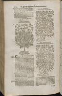Seite 1496