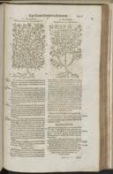 Seite 1497