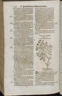 Seite 1502