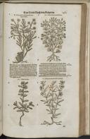 Seite 1503