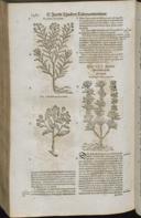 Seite 1504