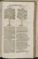 Seite 1505
