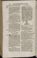 Seite 1506