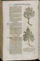 Seite 1508