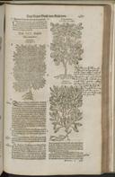 Seite 1509