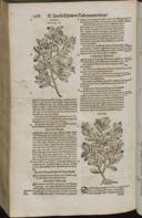 Seite 1510