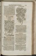 Seite 1511