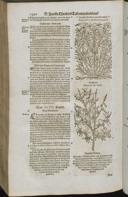 Seite 1512