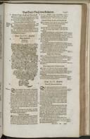 Seite 1513