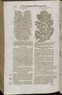 Seite 1514