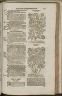 Seite 1515