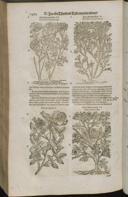 Seite 1516