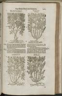 Seite 1517