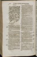 Seite 1518
