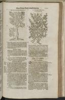 Seite 1523