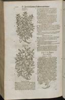 Seite 1524