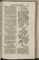 Seite 1525