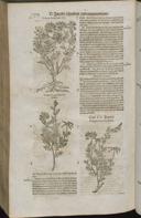 Seite 1526