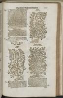Seite 1527