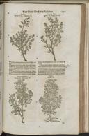 Seite 1529
