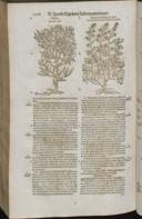 Seite 1530