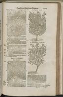 Seite 1531