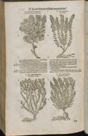 Seite 1532
